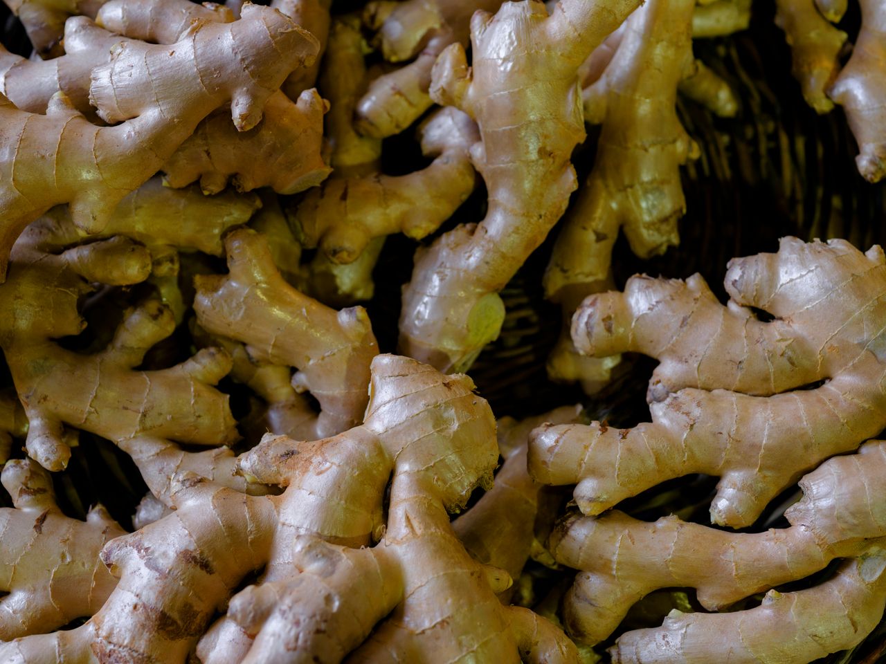 service-02 Close-up shot of fresh ginger roots. Perfect for health and cooking themes.